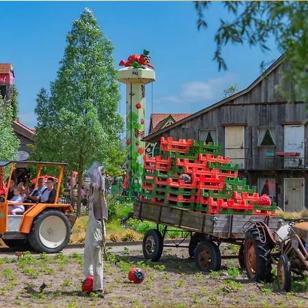 Kimpi 3 Apartament *