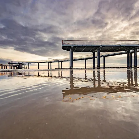 Kimpi 3